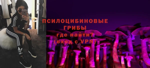 прущая мука Богданович