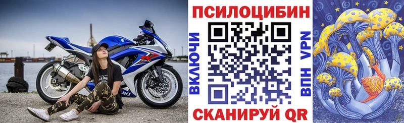 купить   Кольчугино  Псилоцибиновые грибы ЛСД 